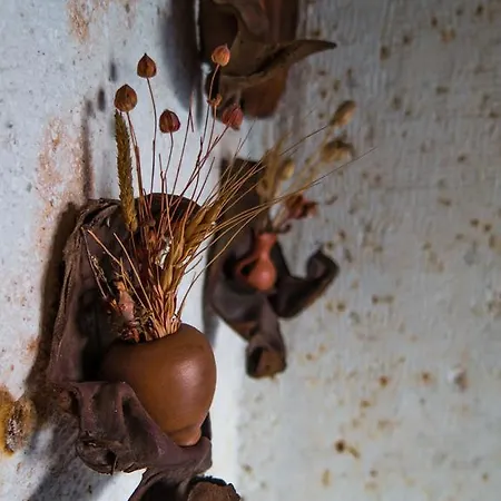 乌尔加普克纳克酒店 于尔居普